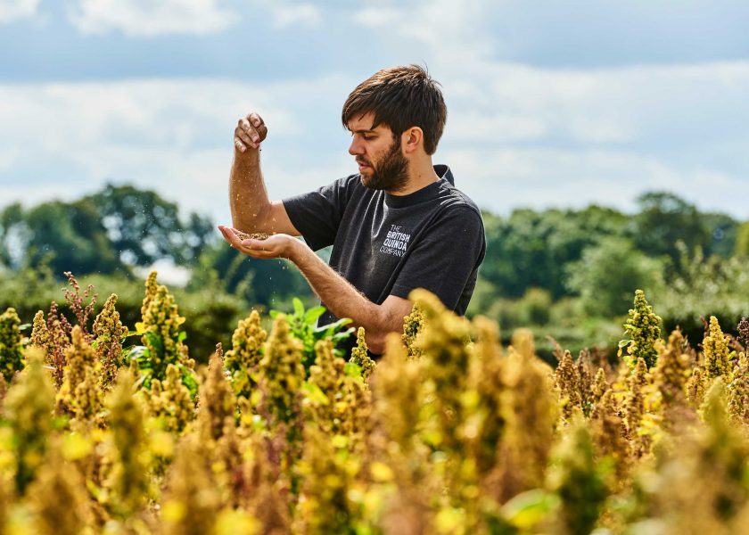 Stephen in a field of quinoa