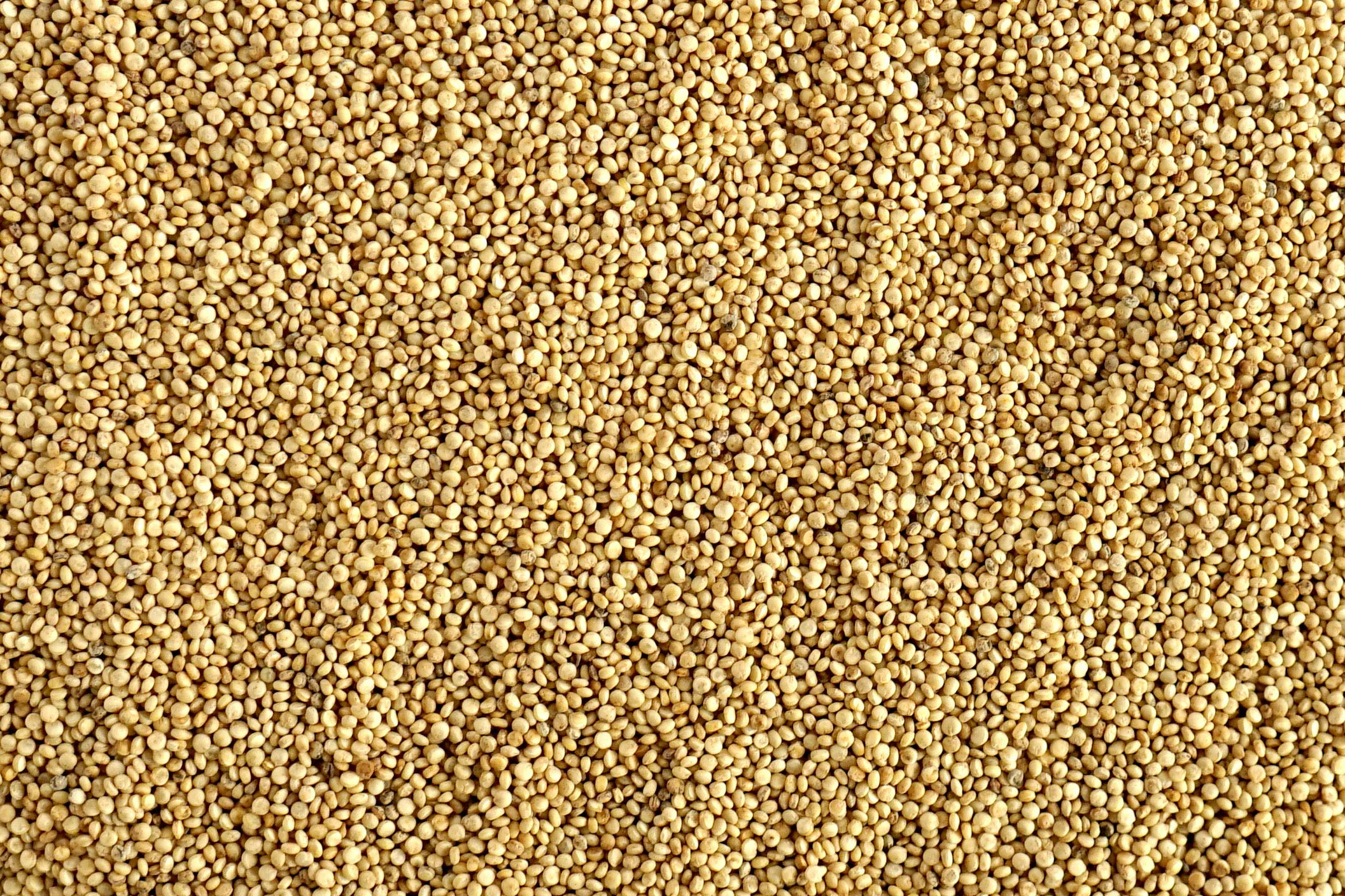 British Organic Quinoa - The British Quinoa Company