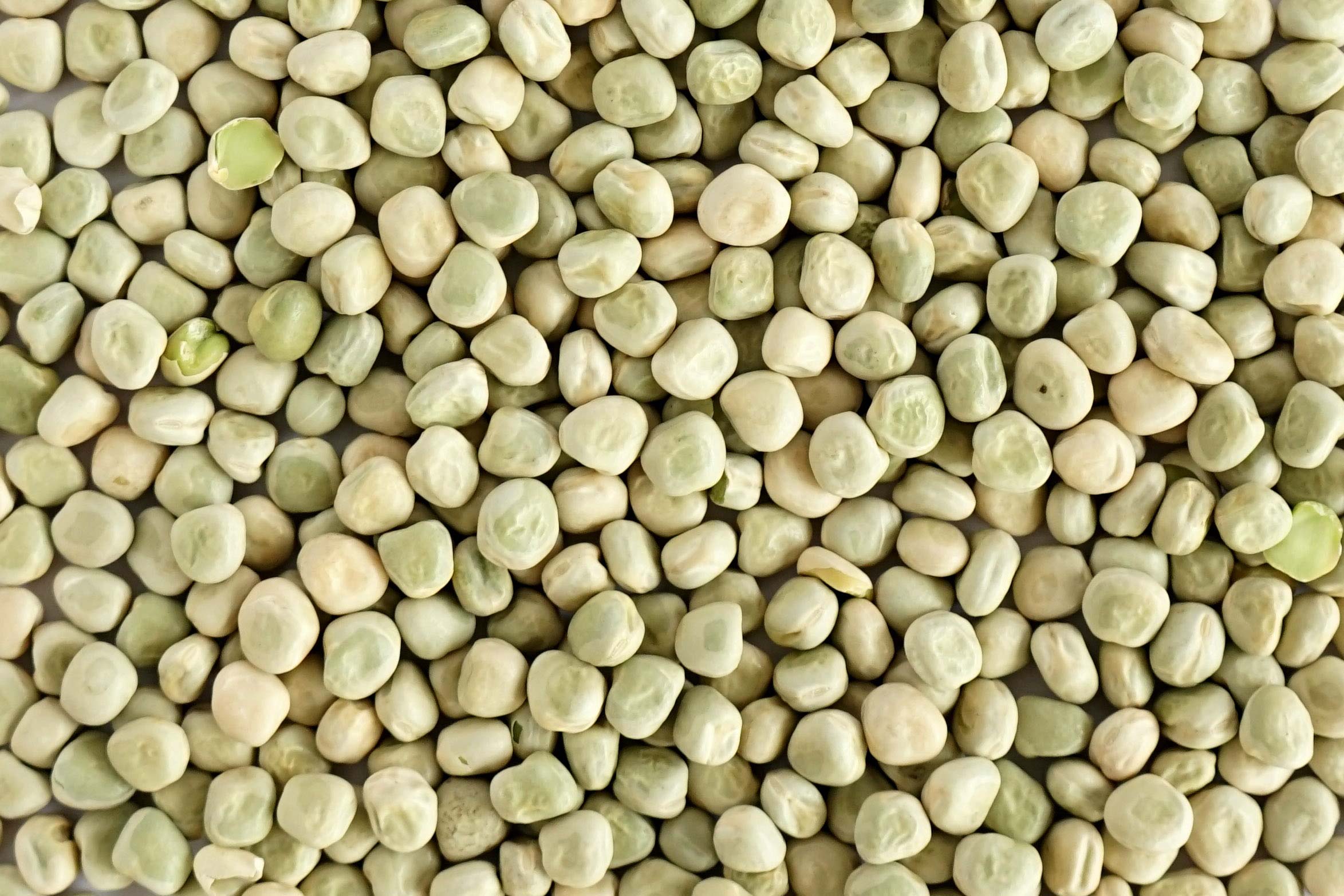 marrowfat-peas-the-british-quinoa-company