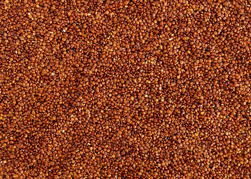 Peruvian Red Quinoa