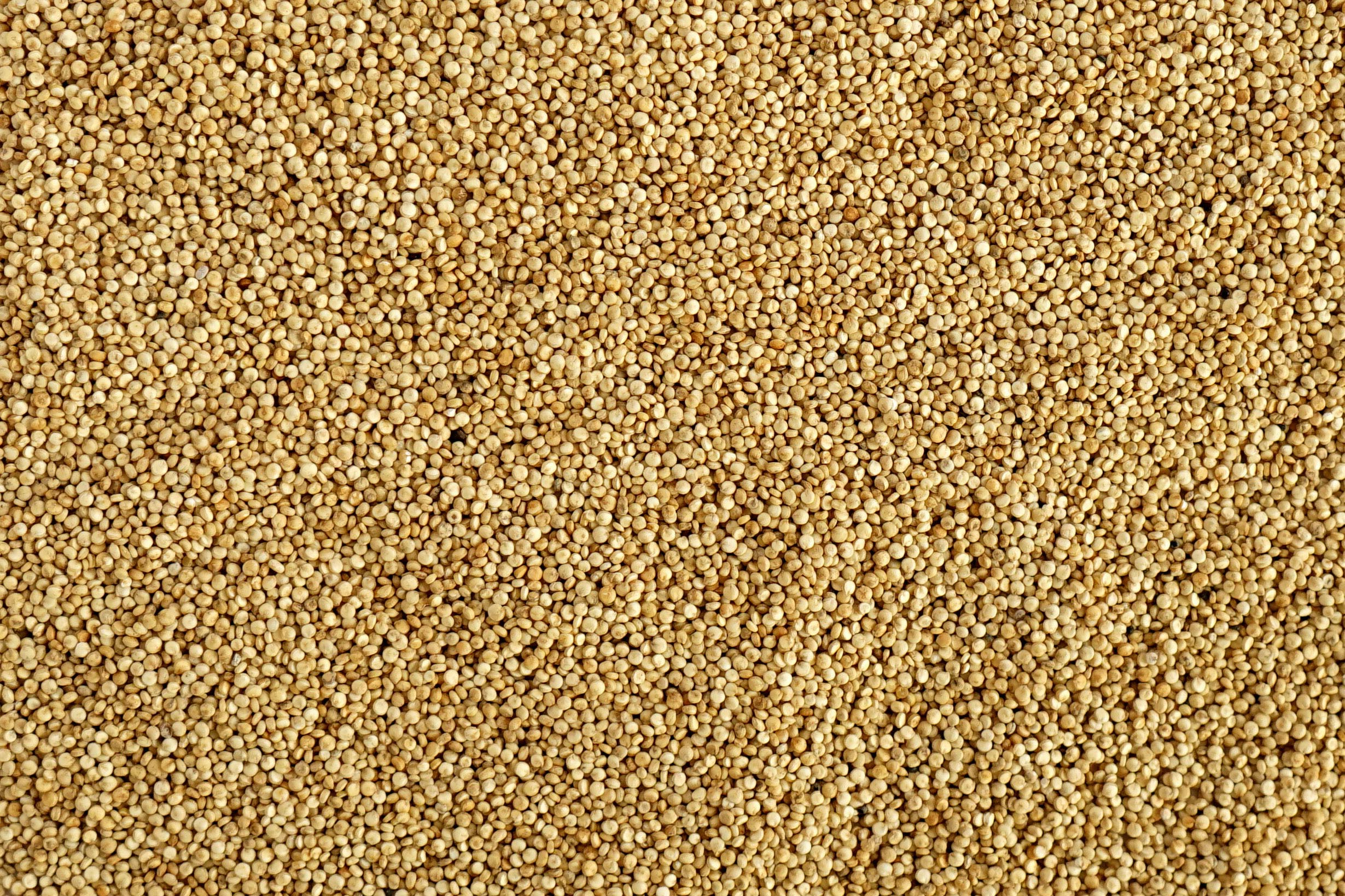 British Smoked Quinoa - The British Quinoa Company